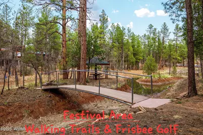 2161 E Elizabeth Avenue, Show Low, AZ 85901 - Photo 42