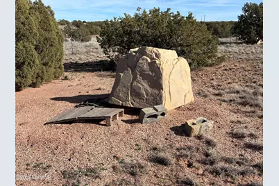 9681 E Concho Highway, Snowflake, AZ 85937 - Photo 4
