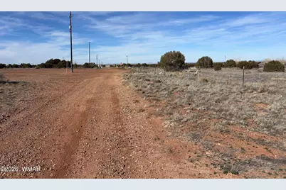9681 E Concho Highway, Snowflake, AZ 85937 - Photo 10