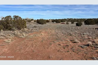 9681 E Concho Highway, Snowflake, AZ 85937 - Photo 8