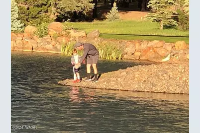 9516 Sierra Springs Drive, Pinetop, AZ 85935 - Photo 56