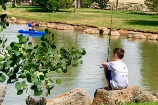 9516 Sierra Springs Dr, Pinetop, AZ 85935 - Photo 58