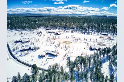 9516 Sierra Springs Drive, Pinetop, AZ 85935 - Photo 64