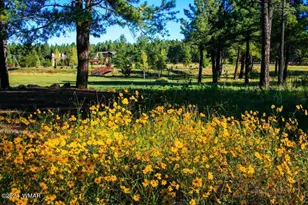 9516 Sierra Springs Dr, Pinetop, AZ 85935 - Photo 68