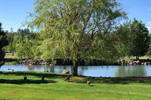 9516 Sierra Springs Dr, Pinetop, AZ 85935 - Photo 70