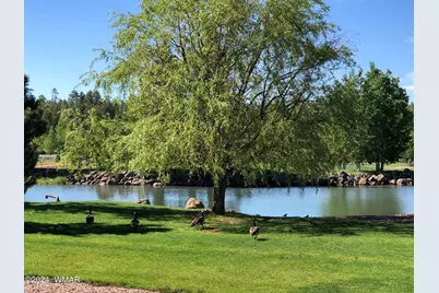 9516 Sierra Springs Drive, Pinetop, AZ 85935 - Photo 72