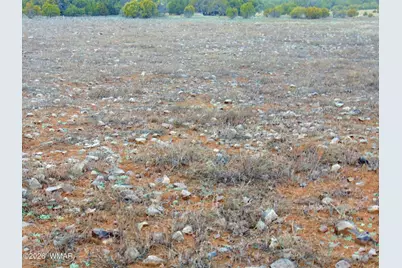 196 County Road 8206, Concho, AZ 85924 - Photo 2