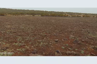 196 County Road 8206, Concho, AZ 85924 - Photo 6