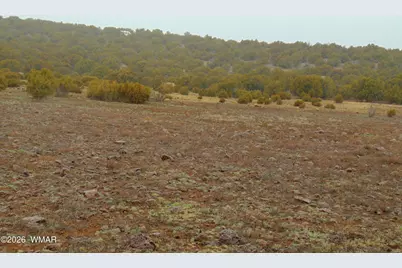 196 County Road 8206, Concho, AZ 85924 - Photo 8