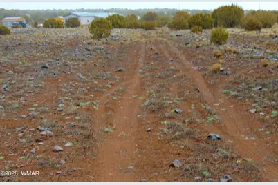 196 County Road 8206, Concho, AZ 85924 - Photo 4