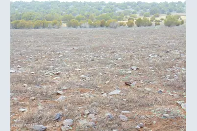 196 County Road 8206, Concho, AZ 85924 - Photo 12