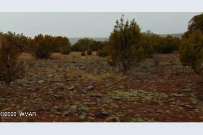 15 Mills, Concho, AZ 85924 - Photo 6