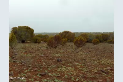 15 Mills, Concho, AZ 85924 - Photo 4