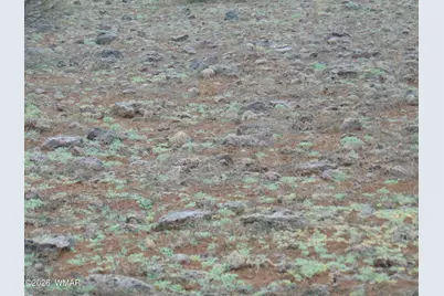 15 Mills, Concho, AZ 85924 - Photo 12