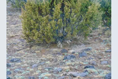 15 Mills, Concho, AZ 85924 - Photo 10