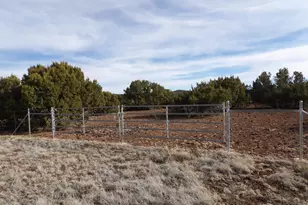 Lot 15A N3411, Vernon, AZ 85940 - Photo 1