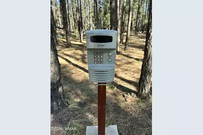 9211 Holly Lane, Lakeside, AZ 85929 - Photo 38