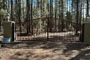 9211 Holly Ln, Lakeside, AZ 85929 - Photo 4