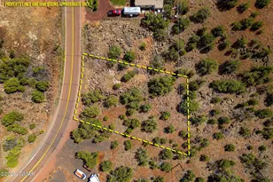 8575 Silver Creek Dr, Show Low, AZ 85901 - Photo 1