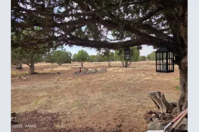 1866 Reel Way, Unit 474 #474, Show Low, AZ 85901 - Photo 10