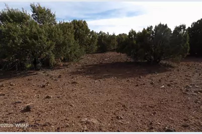 126 N3411, Vernon, AZ 85940 - Photo 2