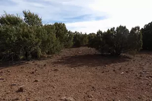 Lot 14B N3411, Vernon, AZ 85940 - Photo 1