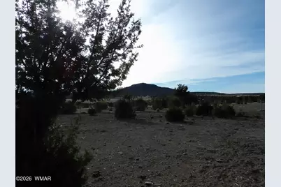 Lot 14B N3411, Vernon, AZ 85940 - Photo 4