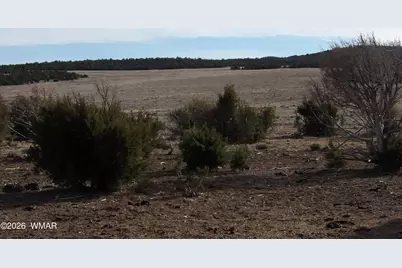 Lot 14D N3411, Vernon, AZ 85940 - Photo 2