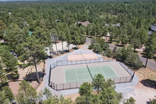3990 Sugar Pine Loop, Show Low, AZ 85901 - Photo 50