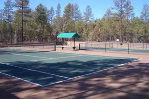 3990 Sugar Pine Loop, Show Low, AZ 85901 - Photo 50