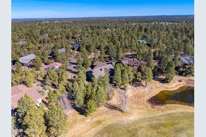 3990 Sugar Pine Loop, Show Low, AZ 85901 - Photo 38