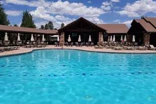 3990 Sugar Pine Loop, Show Low, AZ 85901 - Photo 48