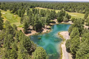 3990 Sugar Pine Loop, Show Low, AZ 85901 - Photo 58