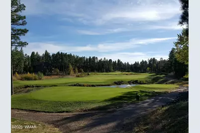 3990 Sugar Pine Loop, Show Low, AZ 85901 - Photo 60