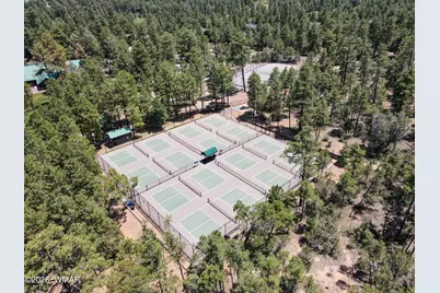 3990 Sugar Pine Loop, Show Low, AZ 85901 - Photo 52