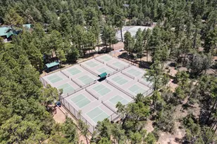 3990 Sugar Pine Loop, Show Low, AZ 85901 - Photo 52