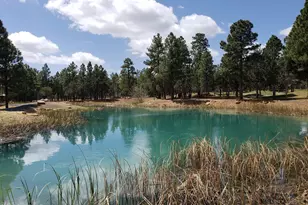 3990 Sugar Pine Loop, Show Low, AZ 85901 - Photo 56