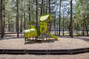 3990 Sugar Pine Loop, Show Low, AZ 85901 - Photo 54