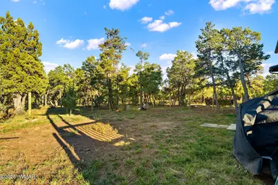 1514 Shade Tree Drive, Heber, AZ 85928 - Photo 42