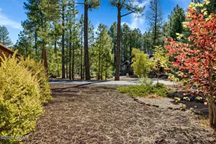 8496 Pinewood Dr, Pinetop, AZ 85935 - Photo 34