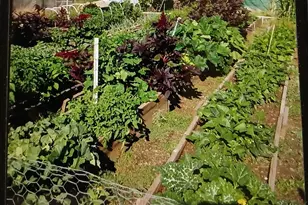 36 County Road 6034, Saint Johns, AZ 85936 - Photo 44