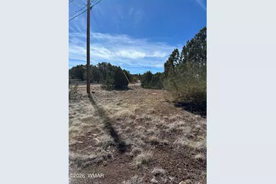 1780 Shad Place, Show Low, AZ 85901 - Photo 10