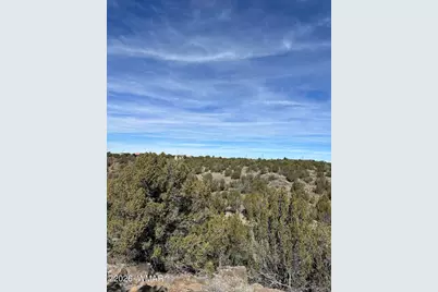 1780 Shad Place, Show Low, AZ 85901 - Photo 6