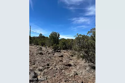 1780 Shad Place, Show Low, AZ 85901 - Photo 8