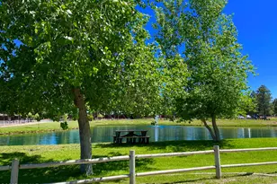 2654 Palomino Trail, Overgaard, AZ 85933 - Photo 52