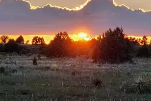 2654 Palomino Trail, Overgaard, AZ 85933 - Photo 40