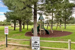 2654 Palomino Trail, Overgaard, AZ 85933 - Photo 48