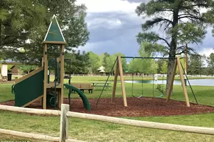 2654 Palomino Trail, Overgaard, AZ 85933 - Photo 50