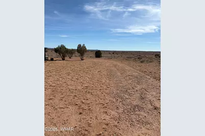 8103 E Concho Highway, Snowflake, AZ 85937 - Photo 10