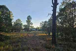 4843 Bison Trail, Lakeside, AZ 85929 - Photo 6